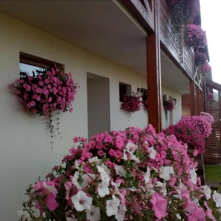 Apartament & Sun Wellness *